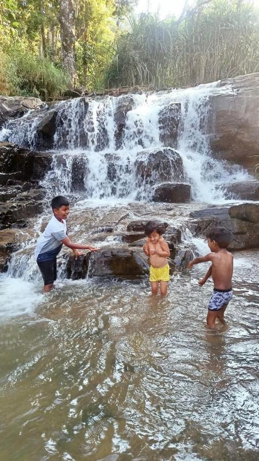 Hiddenvalley Stays - Nethra Madikeri Extérieur photo
